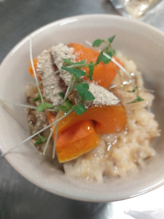 Metejoor 2024 Tickets Trixxo Theater